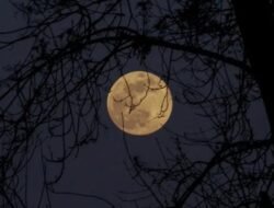 Kemenag Ajak Umat Islam Shalat Gerhana pada 29 Oktober, Begini Tata Caranya