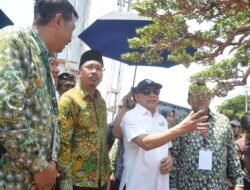 Dibuka Menkop dan Bupati Sidoarjo, Pameran Bonsai yang Dipamerkan di MPP Harga Capai Rp. 2 Miliar