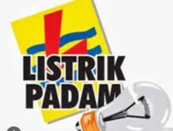 Warga Desa peninjauan Keluhkan Listrik Sering Mati Tampa Sebab