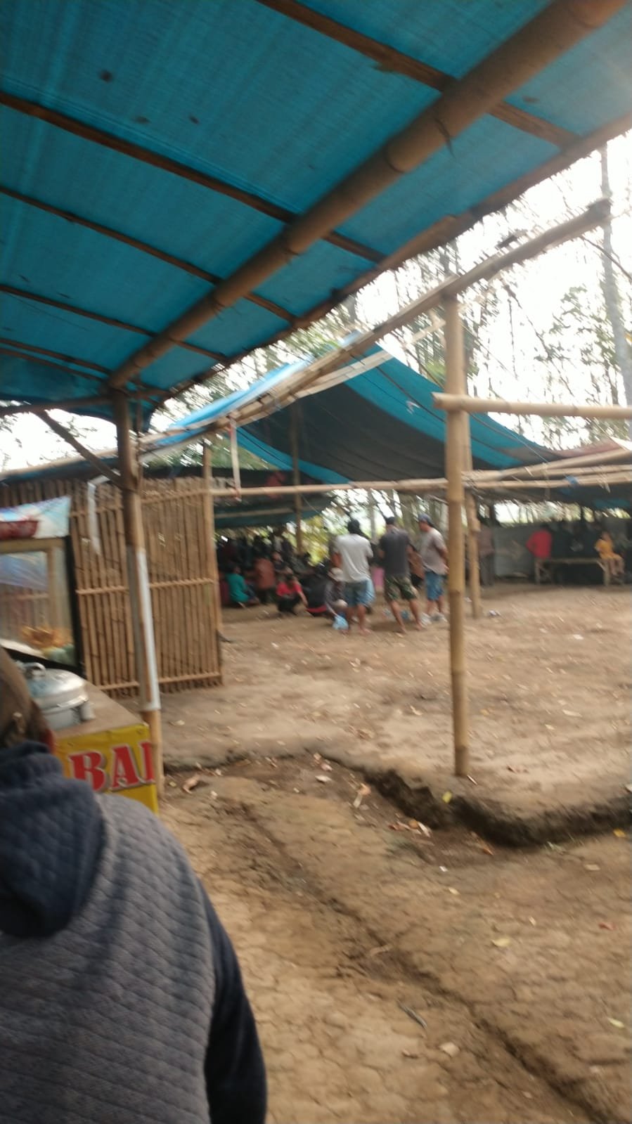 Masih Beraktivitasnya Perjudian Sabung Ayam diDusun Cokro Desa Sukoanyar, Kecamatan Pakis, APH TUTUP MATA !!