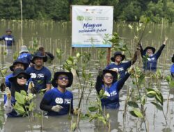 Ribuan Pekerja Medco E&P Turut Tanam Dan Donasi Pohon Di Lahan Kritis