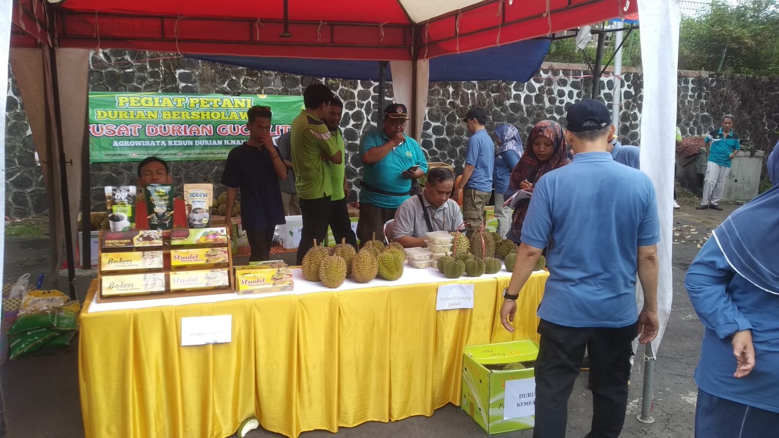 Menikmati Sensasi Durian Terbaik di Kebun Durian H. Nanang Gucialit Kabupaten Lumajang