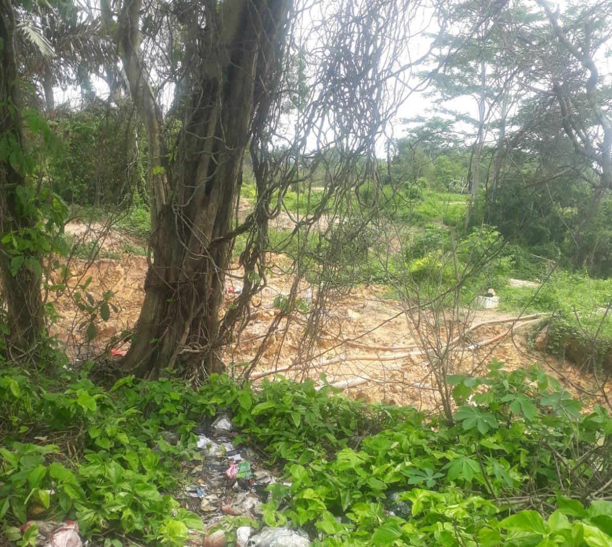 Penambang Kambuhan Kembali Garap Kawasan Parit Enam Yang Sangat Terlihat di Pinggir Jalan