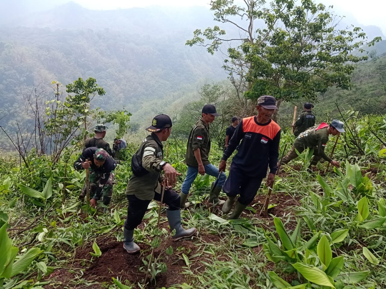 Hijaukan Bumi, Koramil Pacet Bareng Pecinta Alam Tanam Ratusan Pohon Di Bukit Cendono