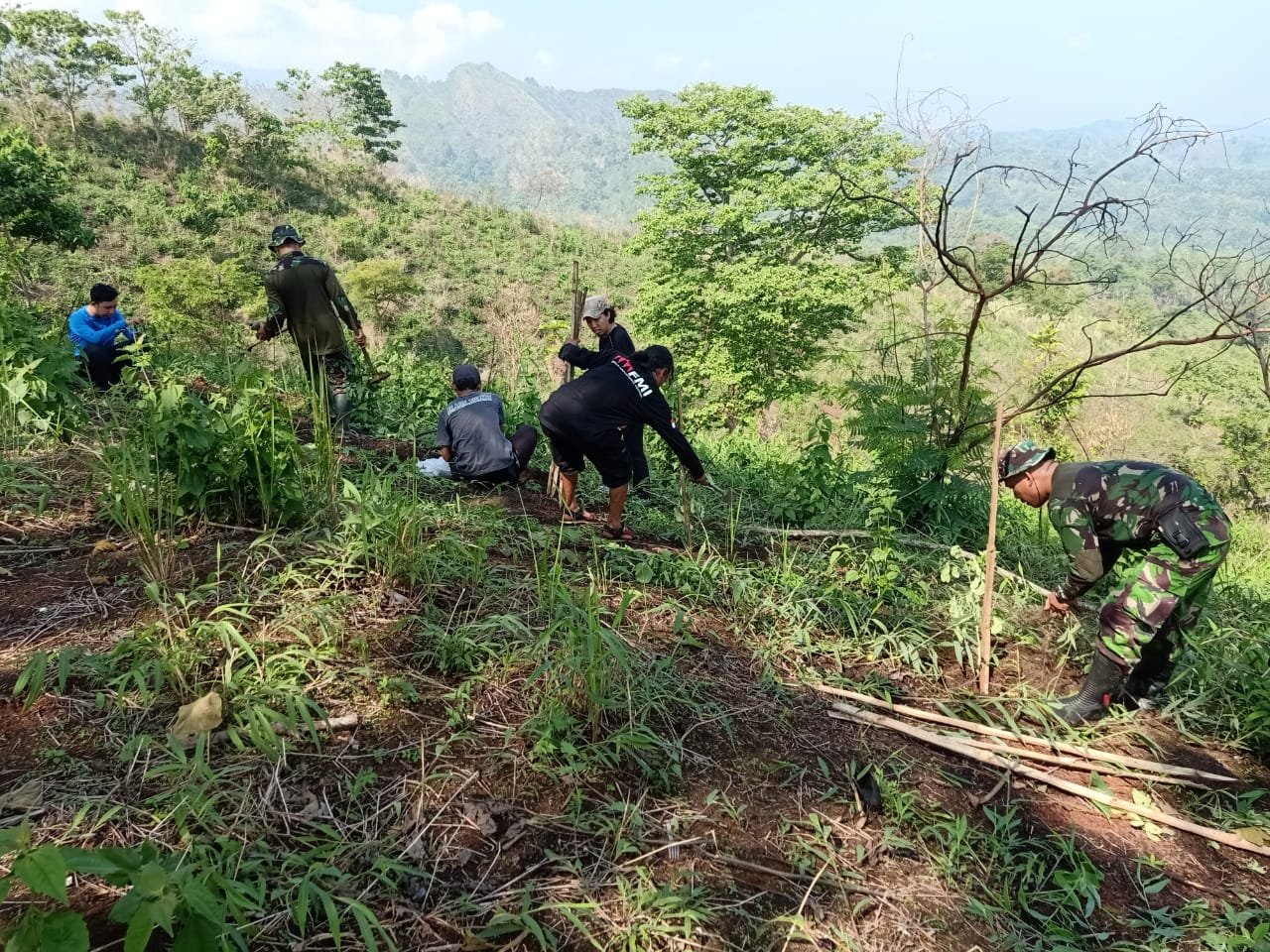 Hijaukan Bumi, Koramil Pacet Bareng Pecinta Alam Tanam Ratusan Pohon Di Bukit Cendono