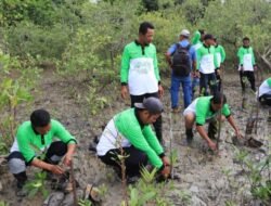 Jaga Ekosistem Pesisir dan Cegah Abrasi, PT Timah Tbk Tanam 12.000 Mangrove di Pesisir Pantai di Kundur