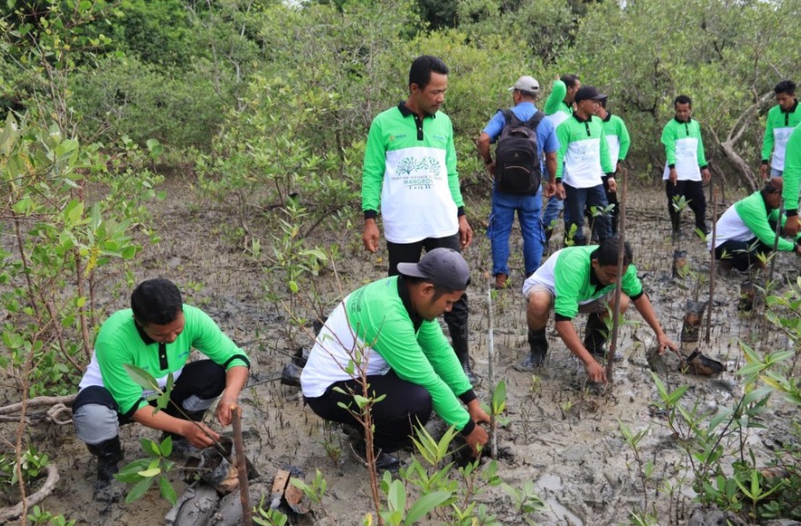 Jaga Ekosistem Pesisir dan Cegah Abrasi, PT Timah Tbk Tanam 12.000 Mangrove di Pesisir Pantai di Kundur