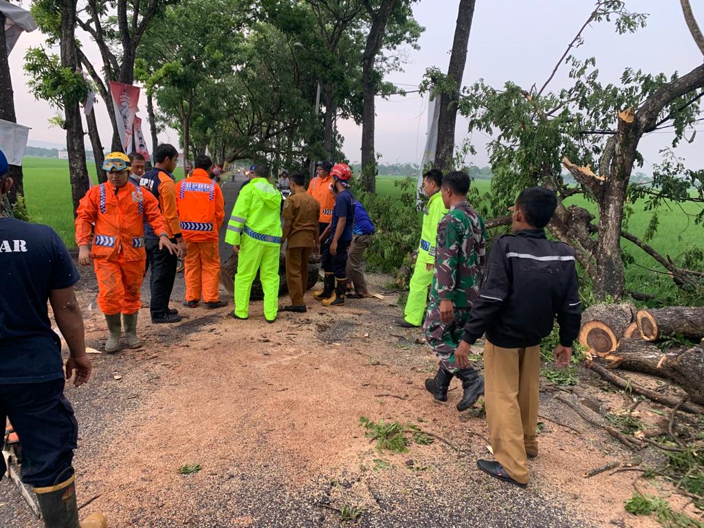 Gerak Cepat Polisi dan TNI Bantu Tangani Pohon Tumbang, Jalan Raya Gondang Tulungagung Kembali Normal