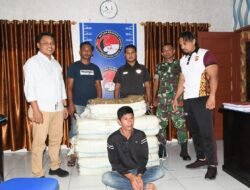 Prajurit Koramil 01 Peunaron Serahkan Pelaku dan BB Ganja ke Polres Aceh Timur