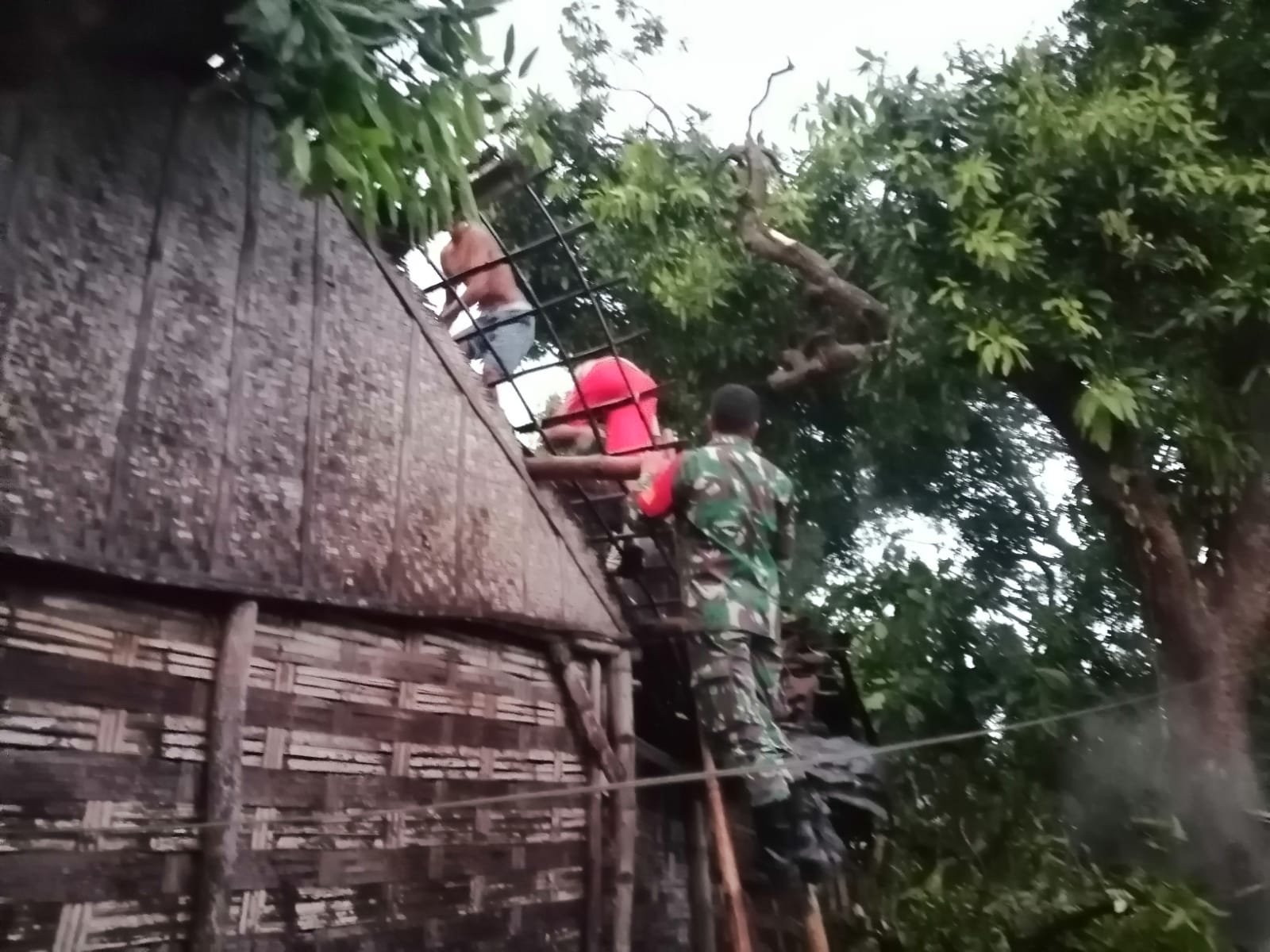 Timpa Rumah Warga, Koramil 0815/04 Puri Bantu Evakuasi Pohon Tumbang