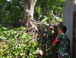 Timpa Rumah Warga, Koramil 0815/04 Puri Bantu Evakuasi Pohon Tumbang