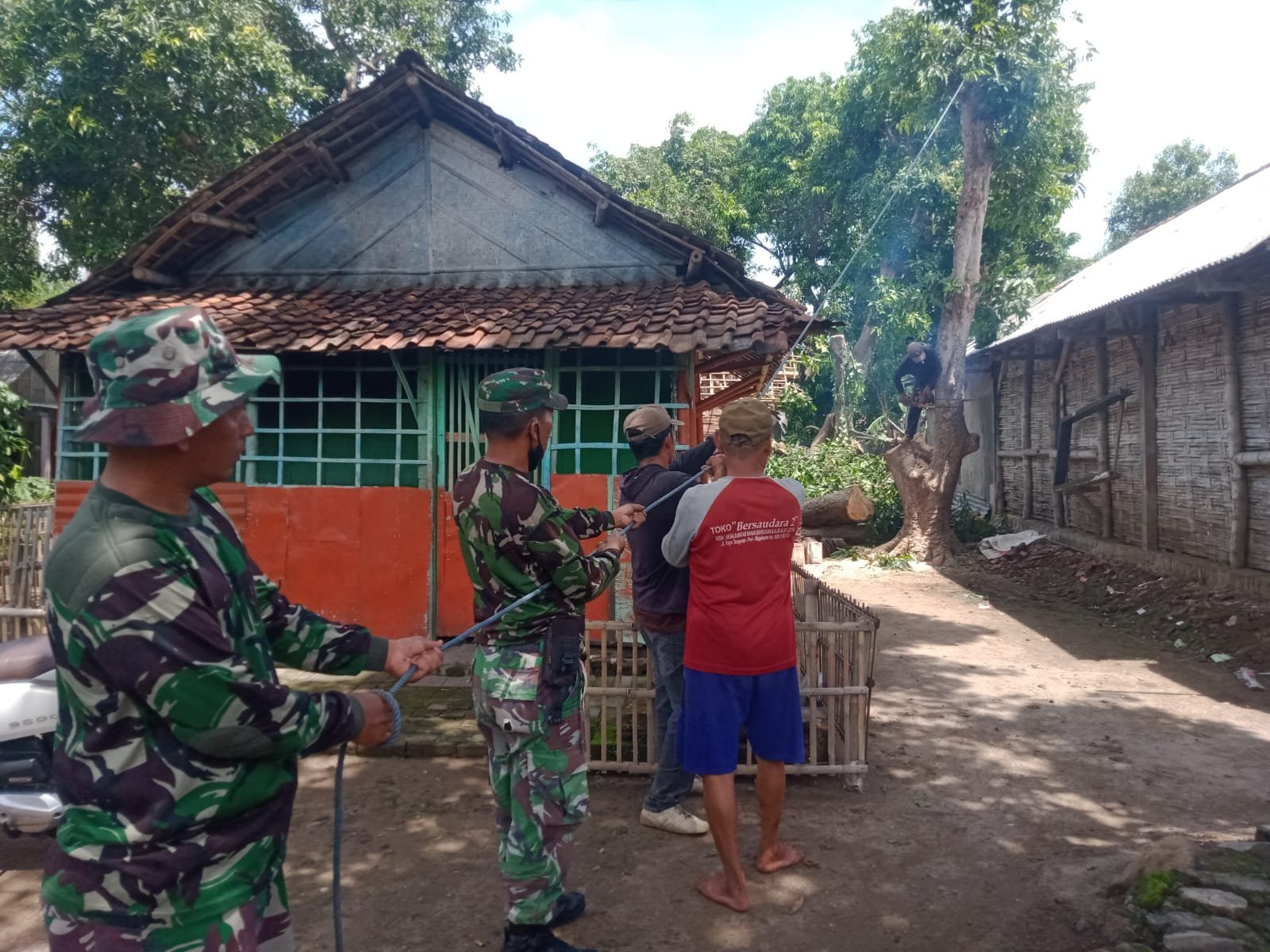 Timpa Rumah Warga, Koramil 0815/04 Puri Bantu Evakuasi Pohon Tumbang
