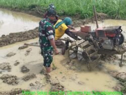 Bajak Lahan Sawah, Babinsa Koramil 0815/08 Dawarblandong Turun Dampingi Petani
