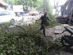 Aksi Cepat Tim Gabungan Koramil Mojoanyar, Polsek & BPBD Evakuasi Pohon Tumbang