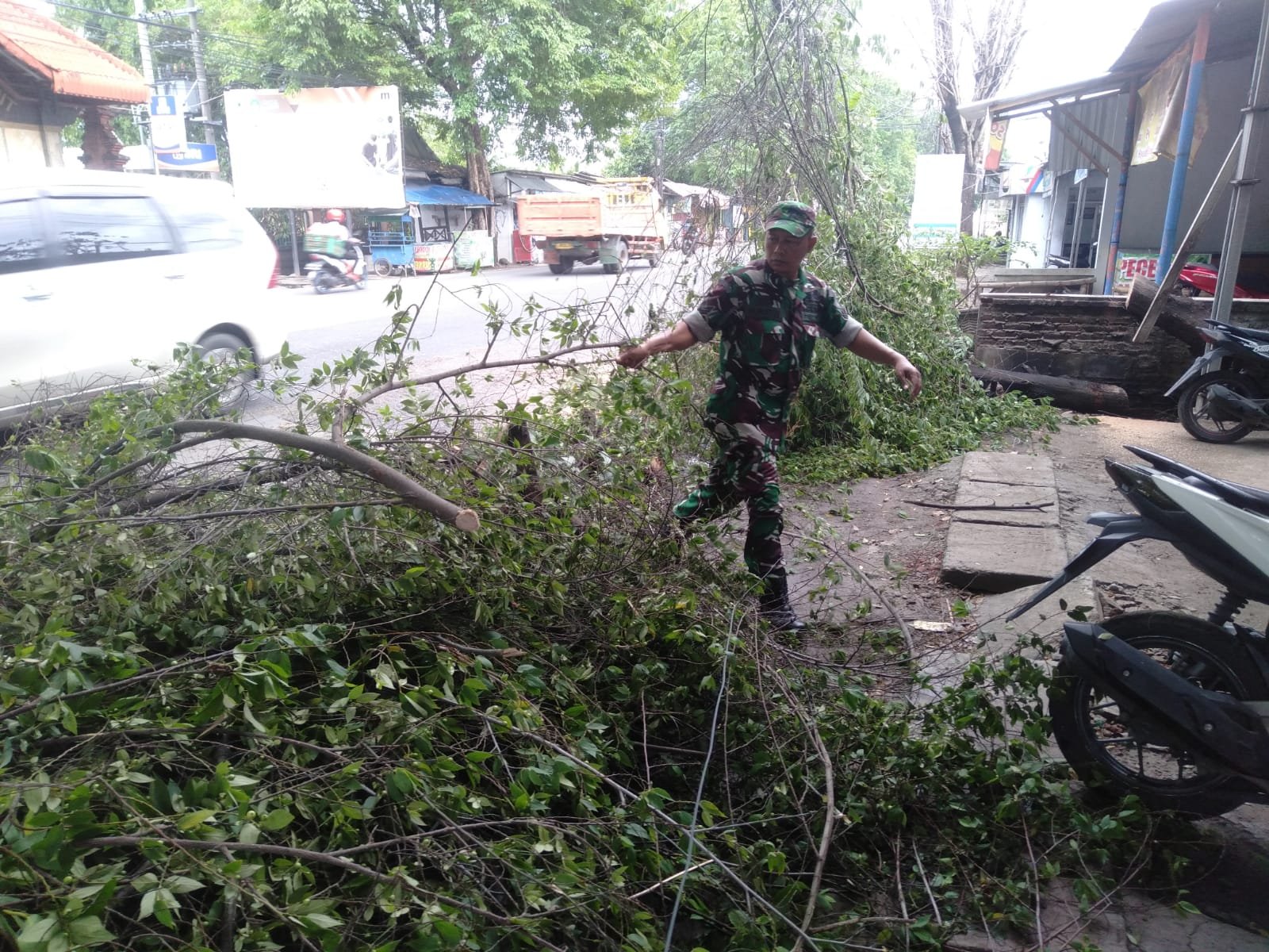 Aksi Cepat Tim Gabungan Koramil Mojoanyar, Polsek & BPBD Evakuasi Pohon Tumbang