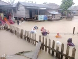 Hj. Masnah Busro Calon Anggota DPR RI Memberikan Bantuan Paket Sembako Ke Desa Pulau Kayu Aro