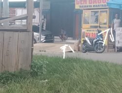 Sat Narkoba Polres Halsel Tangkap Pelaku Narkoba Di Babang, Dijaga Ketat Depan Pintu