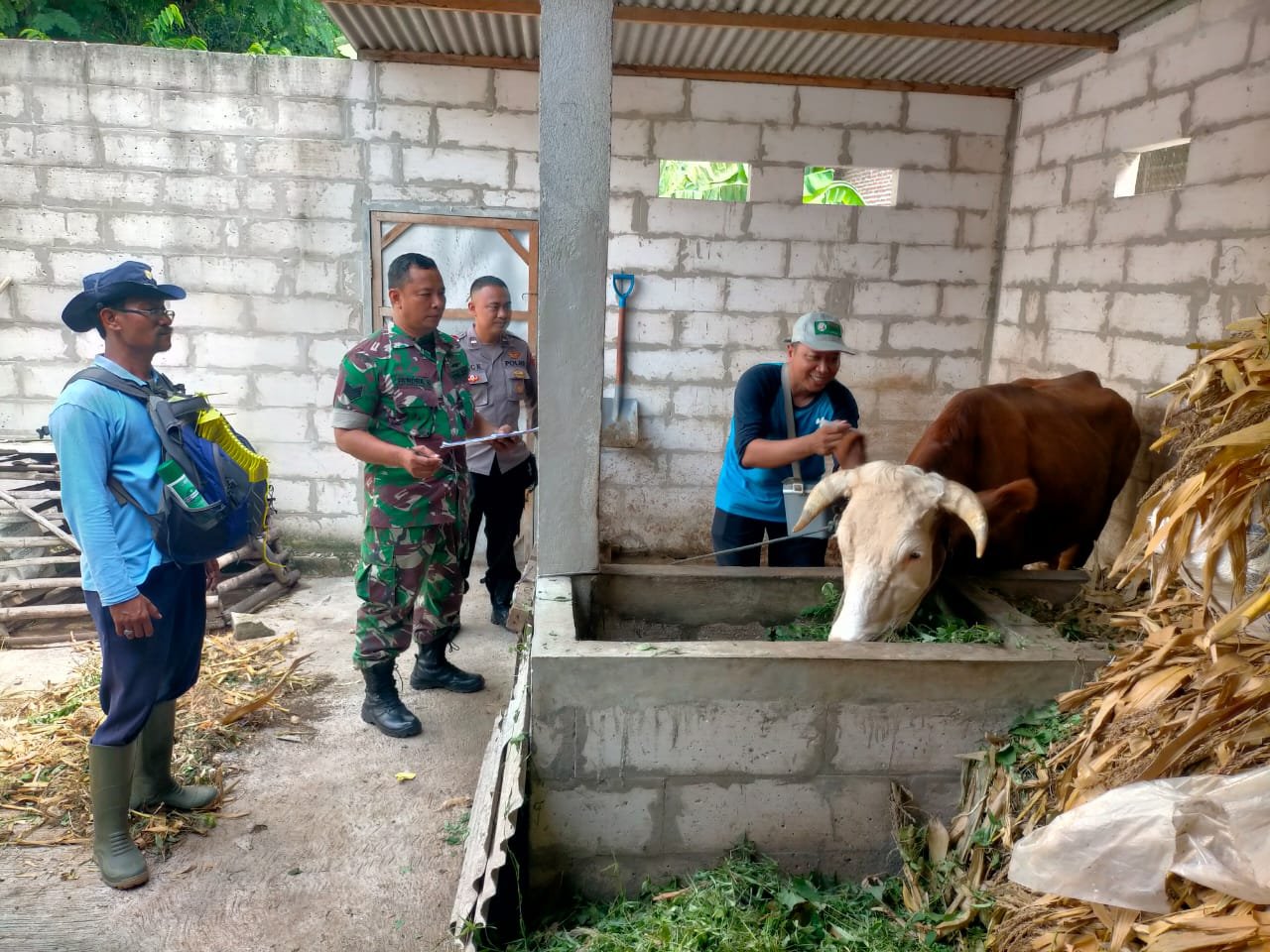 Babinsa Koramil 0815/14 Dlanggu Dampingi Petugas PPL Periksa Kesehatan Hewan Ternak