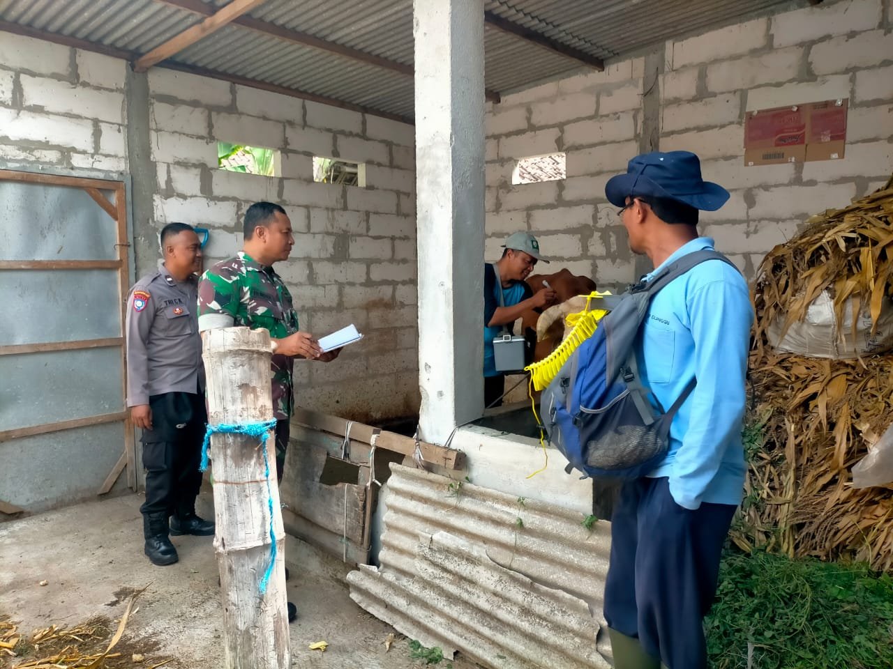 Babinsa Koramil 0815/14 Dlanggu Dampingi Petugas PPL Periksa Kesehatan Hewan Ternak