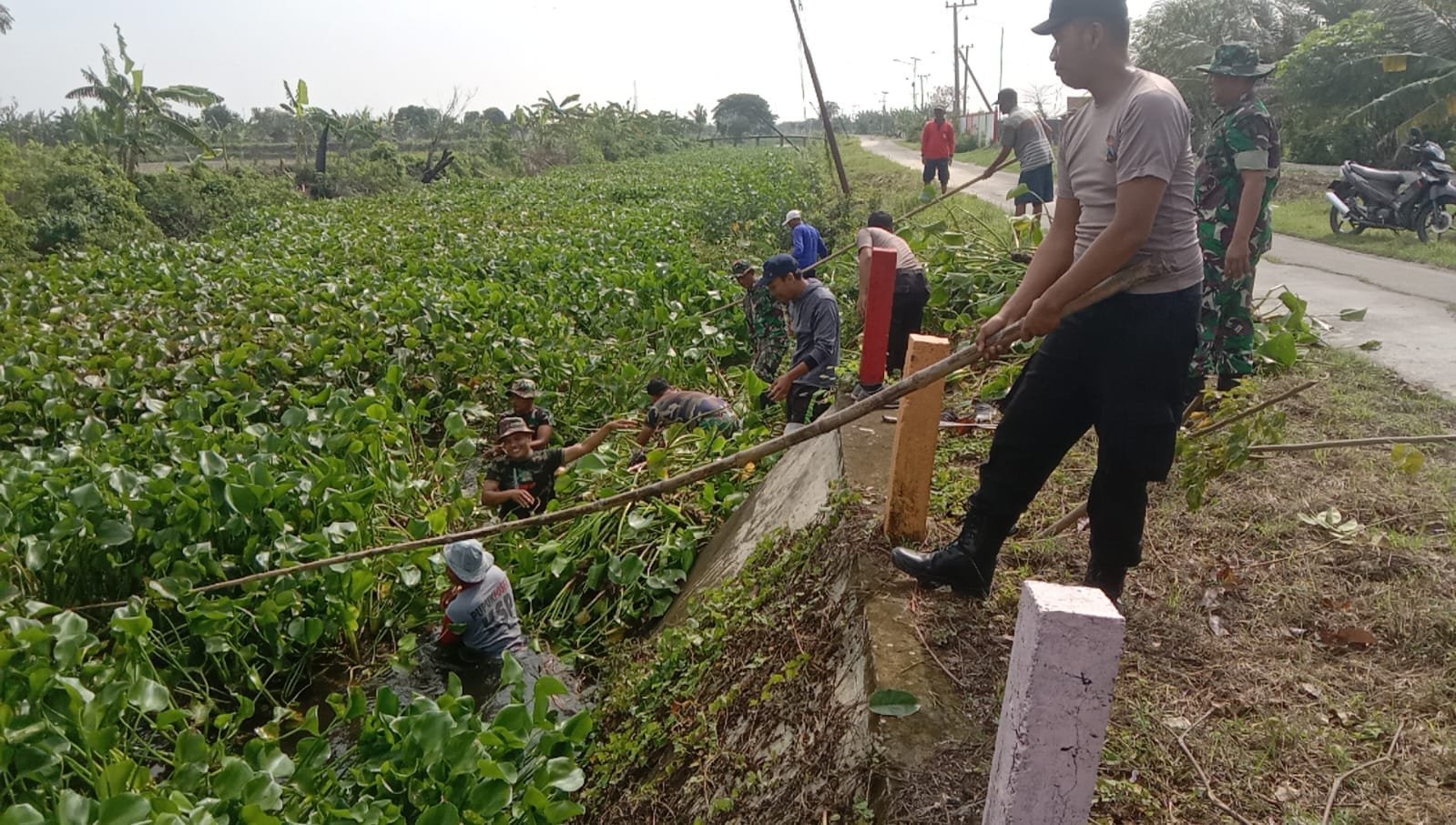 Koramil Karanggeneng Berantas Eceng Gondok