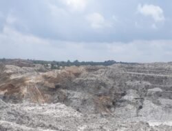 Kawasan hutan produksi desa nibung aktivitas tambang timah diduga iilegal tanpa tersentuh APH