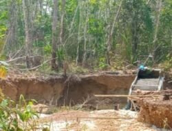 Diduga Pertambangan Emas Ilegal Di Kecamatan Rimbo Bujang Kebal Hukum