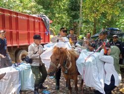 Distribusi Logistik Pemilu di Daerah Terpencil Pakai Kuda, Polres Jember Lakukan Pengawalan Jalan Kaki