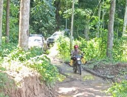 Perjuangan Polisi di Banyuwangi Kawal Logistik Pemilu  Seberangi Tiga Sungai Besar Tanpa Jembatan