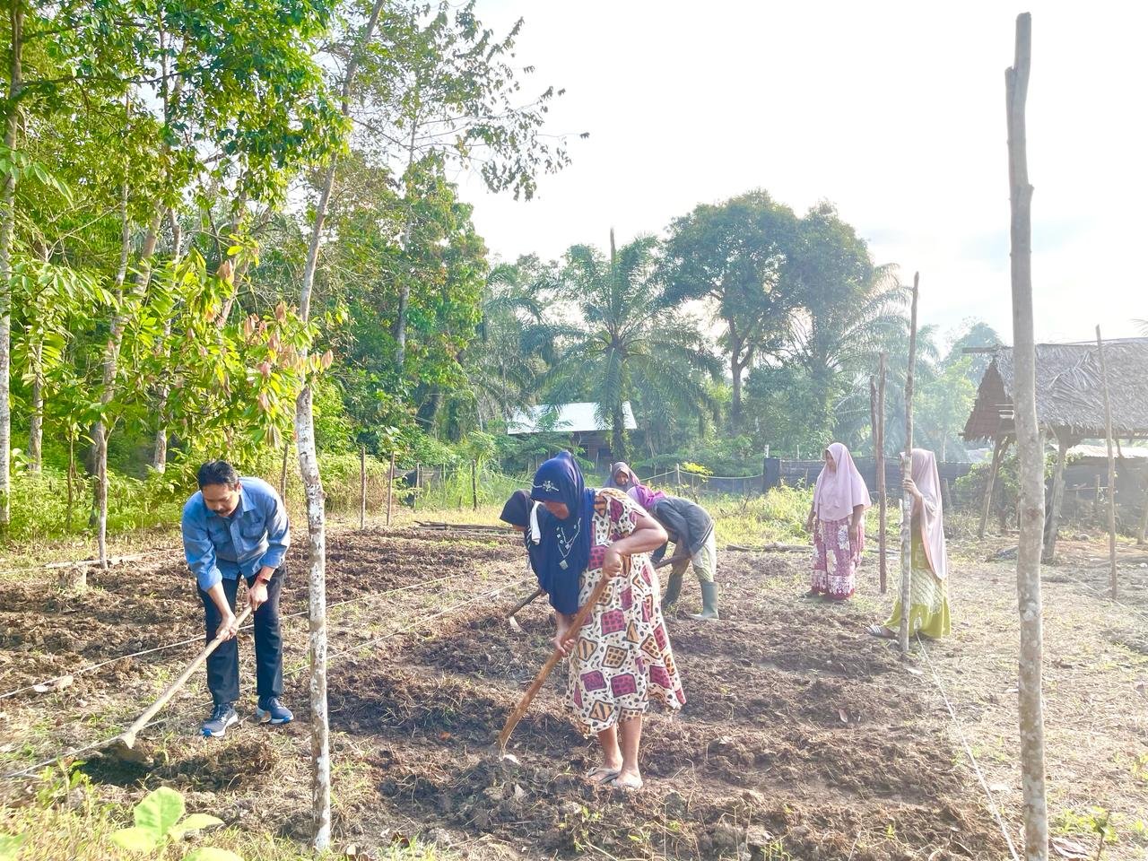 Dukung Ketahanan Pangan, Medco E&P Bina Lima Kelompok Tani Perempuan Aceh Timur