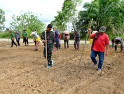 Satgas TMMD Bersama Warga Mulai Tanami Lahan Ketahanan Pangan Di Jempang