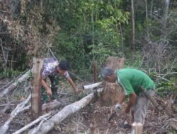Satgas TMMD Bantu Warga Bersihkan Kebun