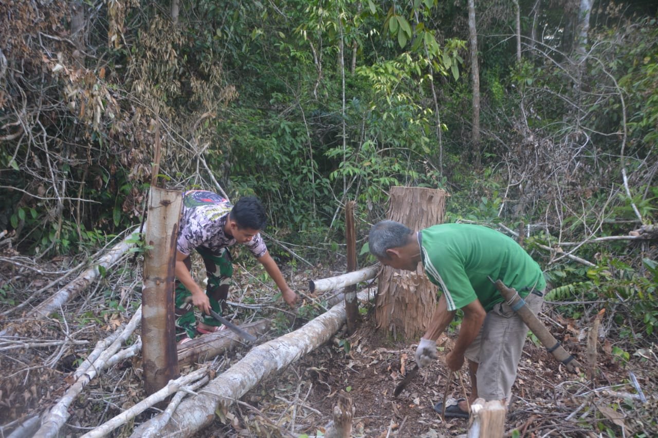 Satgas TMMD bantu warga bersihkan kebun.( Dok TMMD)