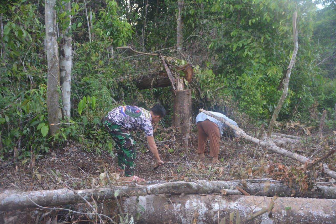 Satgas TMMD Bantu Warga Bersihkan Kebun