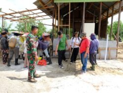 Tanam Jagung Satgas TMMD Berikan Edukasi Cara Tanam Yang Tepat