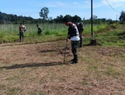 Satgas TMMD Manfaatkan Lahan Kosong Jadi kebun Sayur