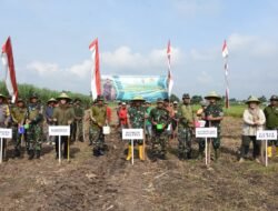 Penananaman Jagung Perdana, Upaya Peningkatan Produksi Pangan Di Wilayah Kodim 0815/Mojokerto
