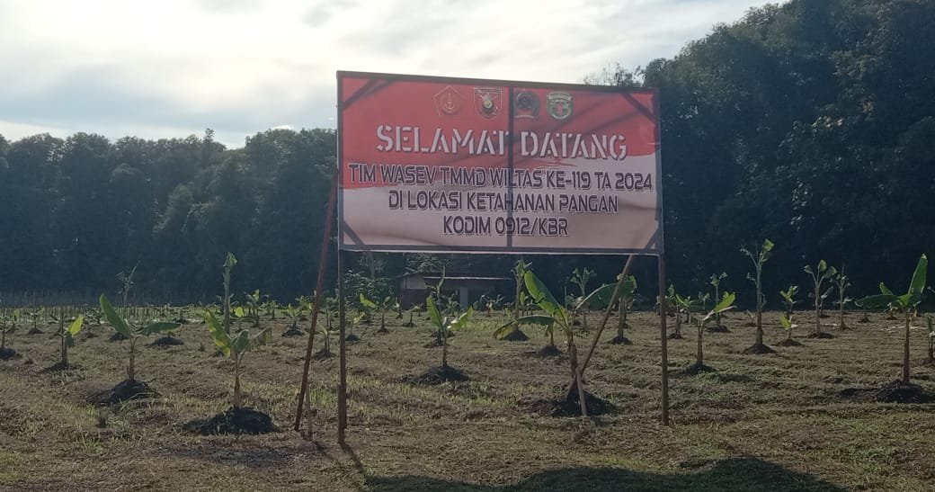 Sasaran Non Fisik TMMD ke 119, Lahan 4 Hektar di Lay Sudah Ditanami