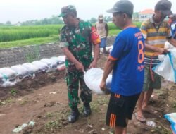 Cegah Terjadinya Luapan Air, Babinsa Sumbersono Bersama Masyarakat Perkuat Dinding Tanggul