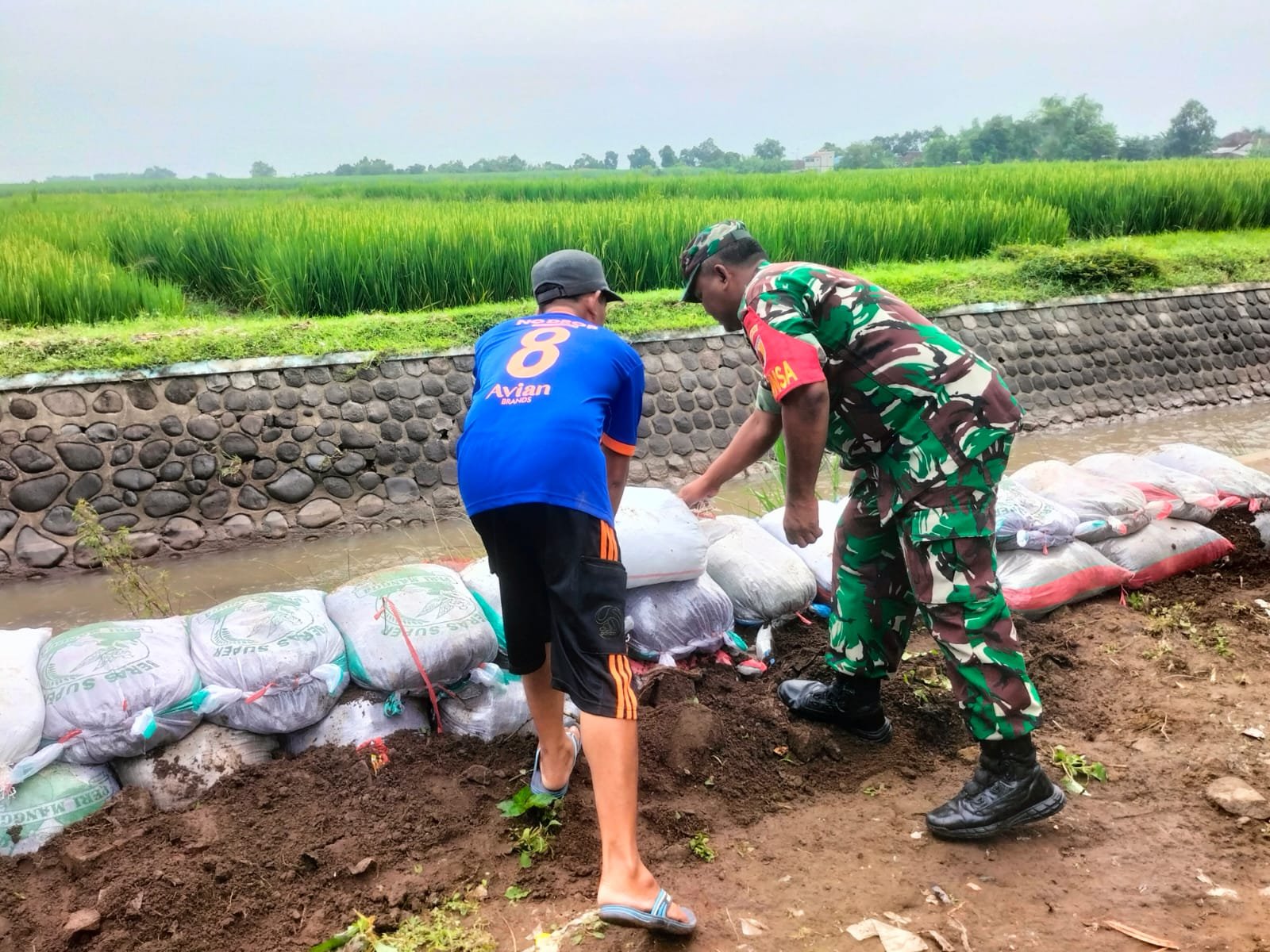 Cegah Terjadinya Luapan Air, Babinsa Sumbersono Bersama Masyarakat Perkuat Dinding Tanggul