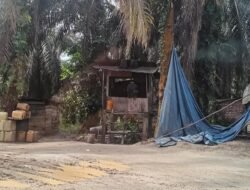 Gudang Minyak Ilegal Di Marosebo Ulu Bebas Beroperasi,Seakan Kebal Hukum, SI : Laporkan! Aku Dak Takut