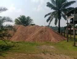 Bisnis Kerikil Biang Perusak Jalan Penghubung Simp Sungai Rengas Menuju Peninjauan