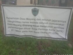 Aktivitas Tambang Timah di PT GSBL Dusun Ibul Diduga Jhon Sebagai Pengurus Lokasi Tersebut