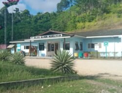 PT. GMM DI HALSEL DIDUGA PEROLEH IJIN TANAH USAI PENANAMAN SAWIT,  PENDERITAAN MASYARAKAT GANE DITUTUPI