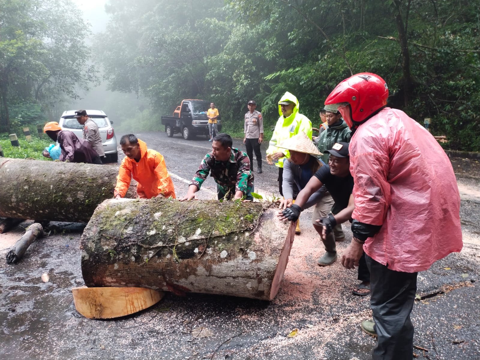 Pohon Tumbang Tutup Akses Jalan, Koramil Pacet Bareng Polsek - BPBD & Relawan Lakukan Evakuasi