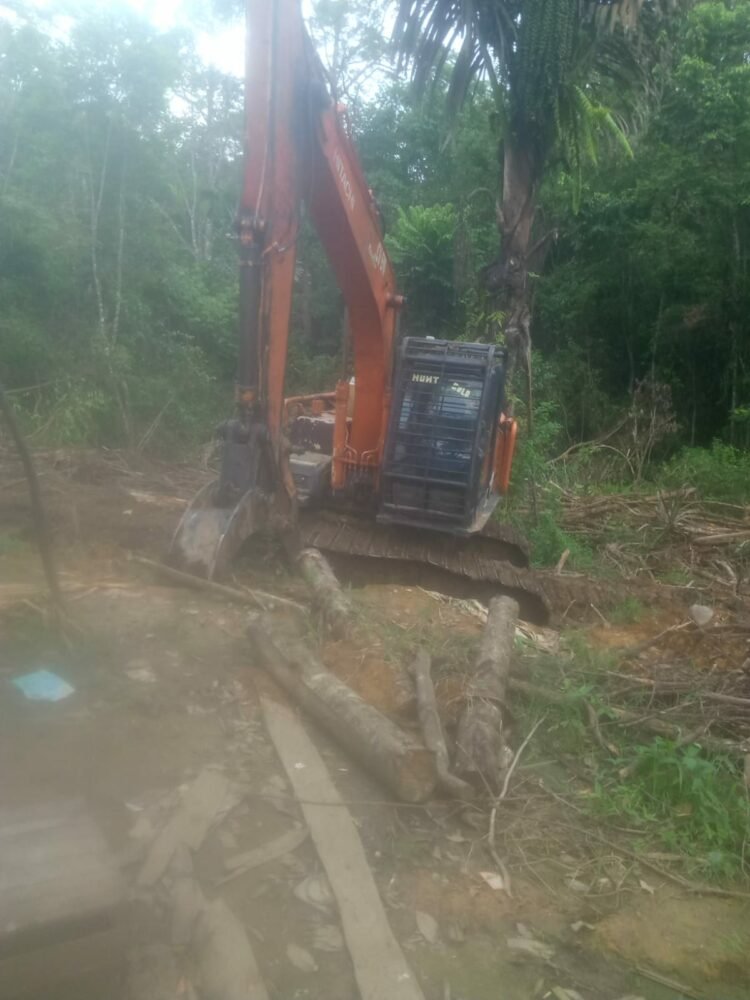 Lokasi Penebangan Kayu di Dolok Silou, Berada di DAS dan Hulu Bah Siturituri dan Bah Sigombur