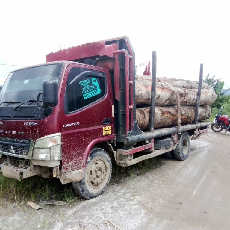 Lokasi Penebangan Kayu di Dolok Silou, Berada di DAS dan Hulu Bah Siturituri dan Bah Sigombur