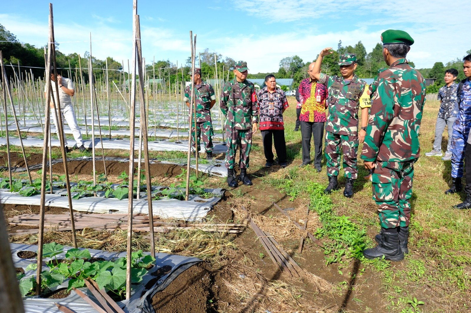 Tim wasev melaksanakan pengecekan lahan ketahanan pangan (Pisang, tomat, lombok, kacang dan timun) seluas 4 hektar di kampung lay di dampingi Dandim kubar dan forkopimda kubar