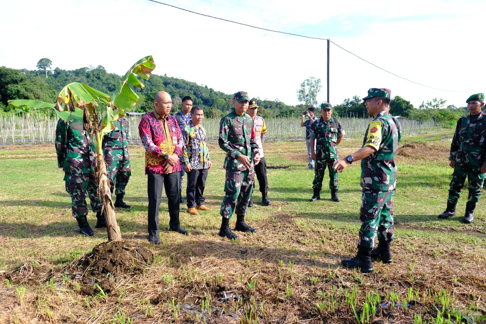 Program Ketahanan Pangan Di Lay Selesai Ditanami Sayur Mayur dan Pisang