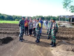 Program Ketahanan Pangan Di Lay Selesai Ditanami Sayur Mayur dan Pisang