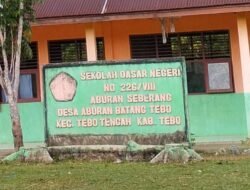 Kadis Pendidikan Kabupaten Tebo Di Nilai Tidak Bisa Bekerja Kontroversi Kepsek SDN 226/VIII Aburan Seberang Terus Berlanjut